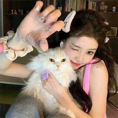 隆美尔传